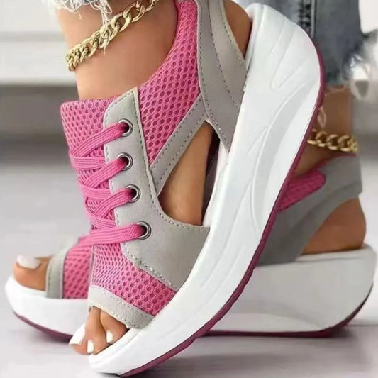 366d3e45-d491-4d91-93c9-7c0b6b4a1c8c-Max-Origin